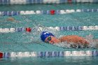 Swim vs Bentley  Wheaton College Swimming & Diving vs Bentley University. - Photo by Keith Nordstrom : Wheaton, Swimming & Diving